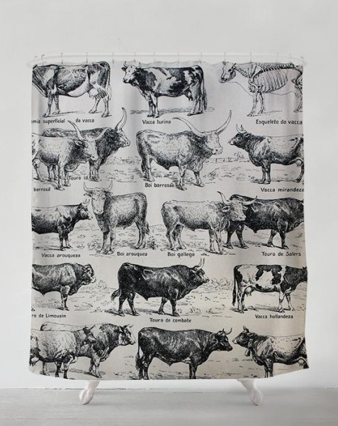 cow-ilustration