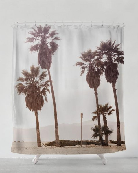 beach-and-palms