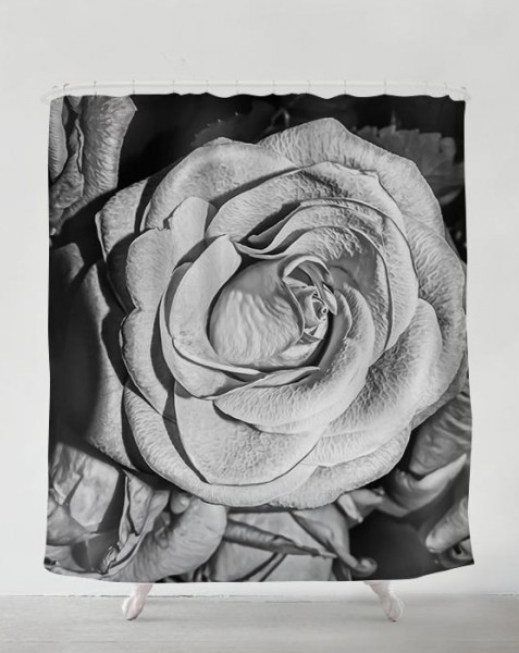 black-and-white-roses